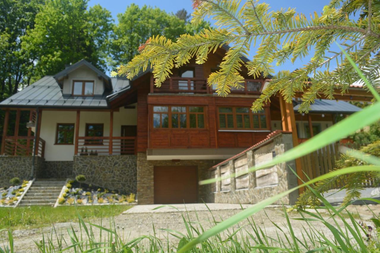 Domek Nad Kryniczanka Krynica Zdroj Exterior foto